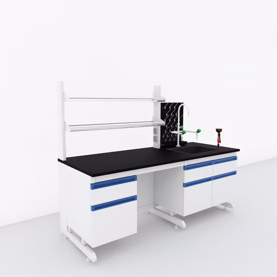 Bancs latéraux de laboratoire de résistance chimique utilisés en métal et en bois de meubles de laboratoire avec l'évier